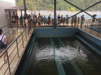 水龙头放出牛奶色自来水，能喝吗？小编带你揭秘吉首市狮子庵水厂